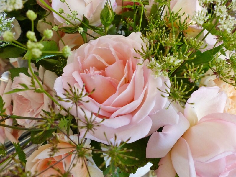 P1050590
