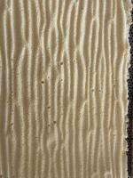 05A5B345-1855-4B6C-A1E2-23756553930B