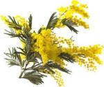 images (2)