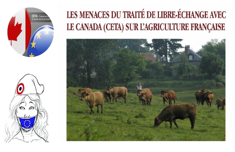 MONTAGE CETA AGRICULTURE