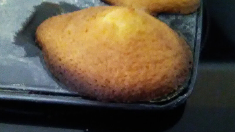 Madeleine (5)