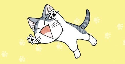 shi chat shi chat