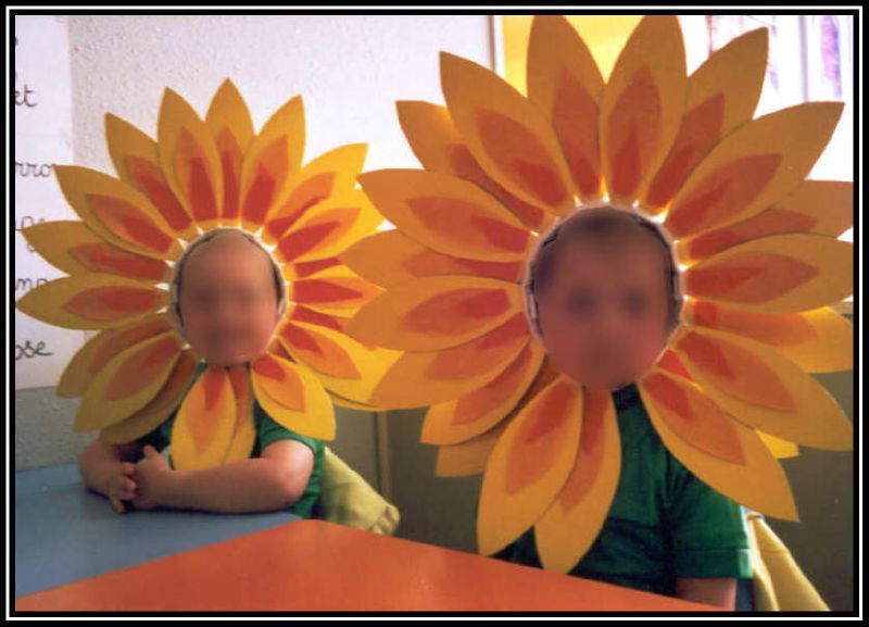 costtournesols98