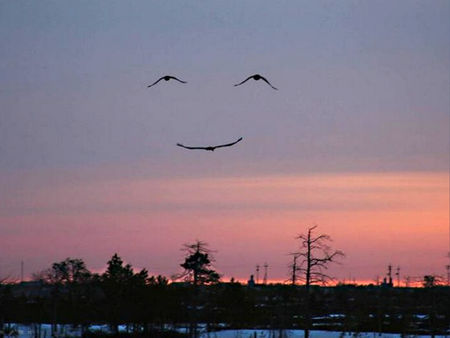 SOURIRE