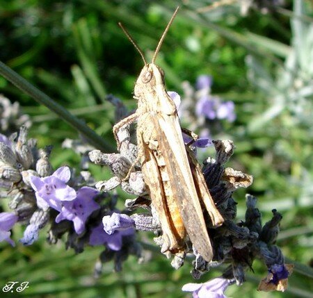Photo_782