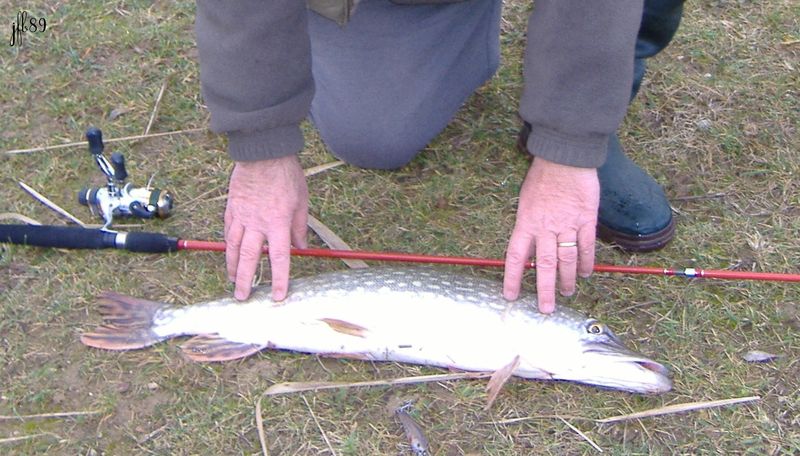 La pêche de vidéo regarder au printemps