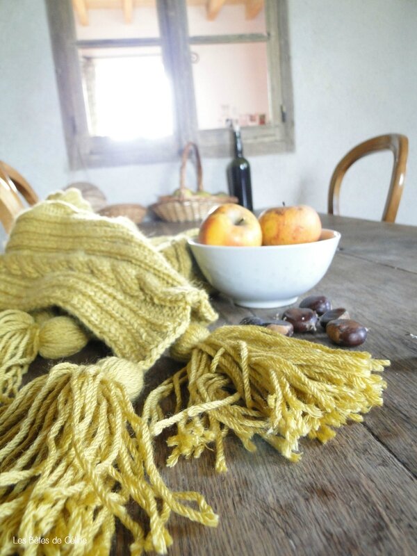 Tricot Les Bêtes de Céline