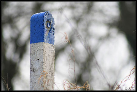 IMG_4371_border