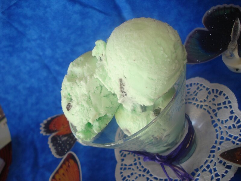 crème glacée menthe et chocolat ( sans sorbetière et sans crème glacée menthe et chocolat ( sans sorbetière et sans