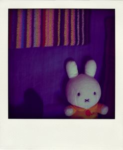 DSC_1169_pola01