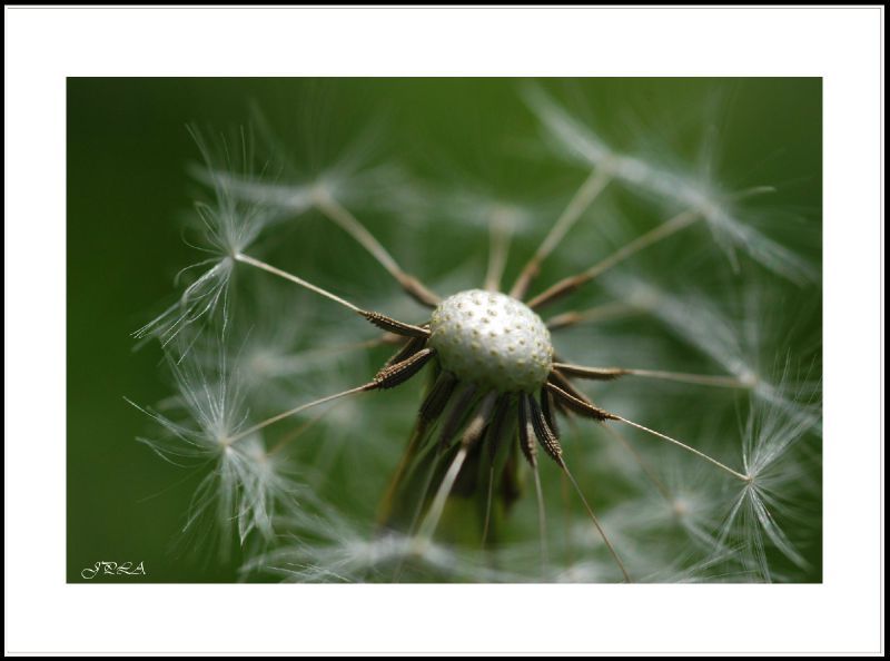 12 04 27 macro105(3391) c