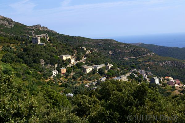 Rogliano 2