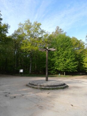 foret amboise (13)