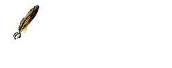s2