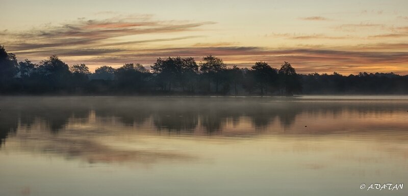matin d'automne-3617