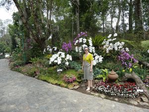 DSC05623