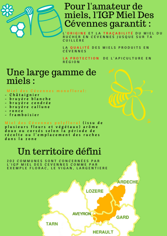Flyer%20IGP_grandpublic