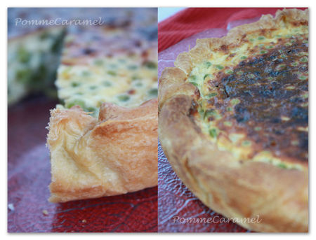 Tourte_pts_pois_copie