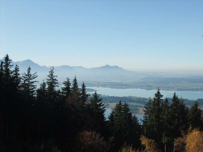 année photo 20111031