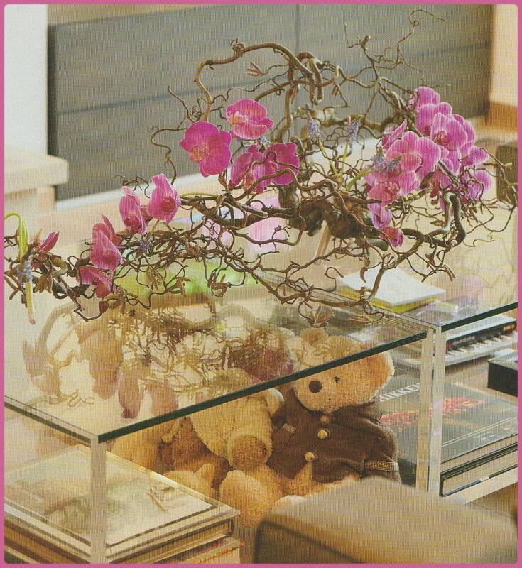 orchid2