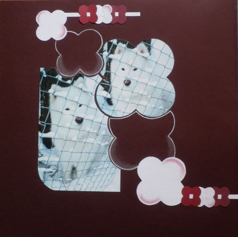 Chien des neiges - So Scrap Chien des neiges - So Scrap