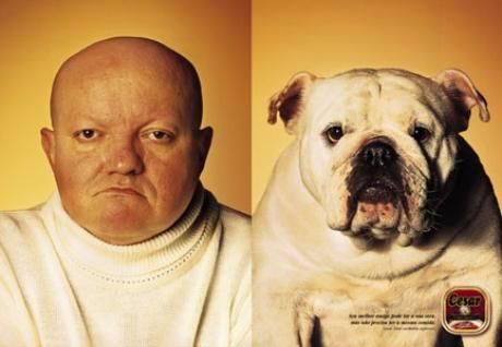 Rencontre pour agoraphobie