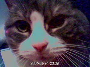 Image_9