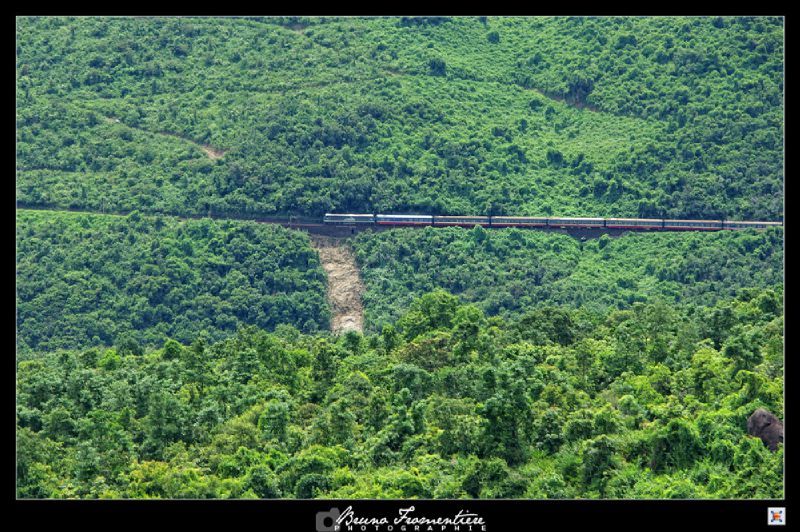 Train 005