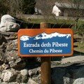 Pibeste 1 349 m, janvier et mars 2007