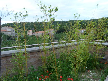 P1000652