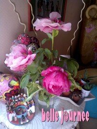 WP_000535