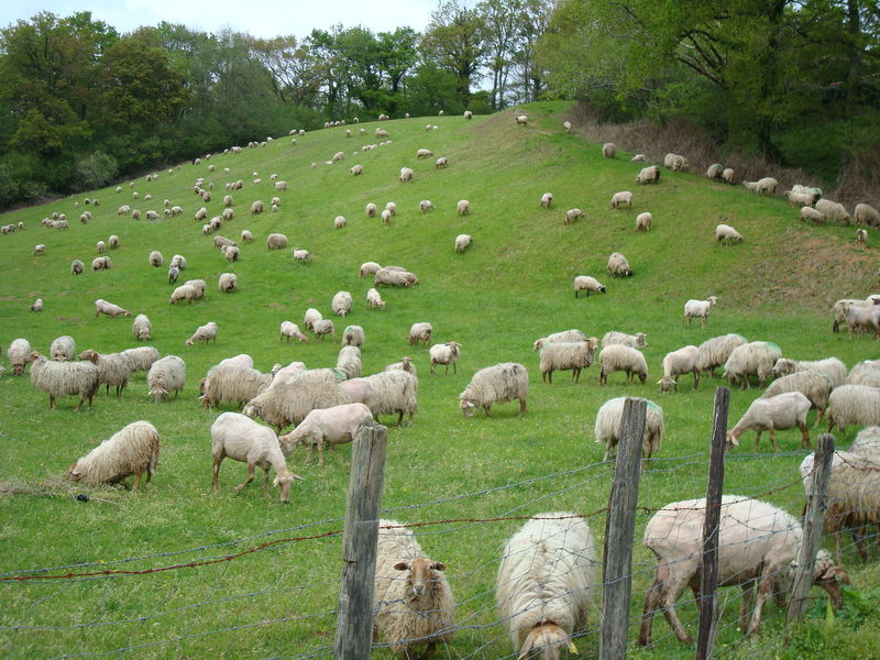 Rencontres landes pays basque