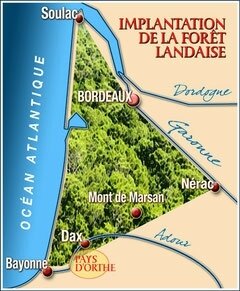image (1)