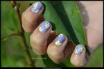 DSC_6141blog