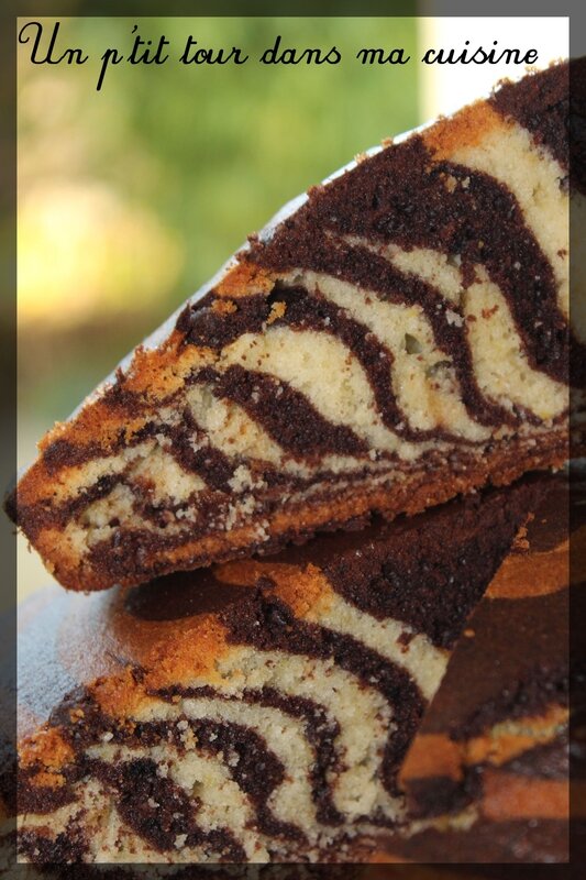 Gâteau zèbre0