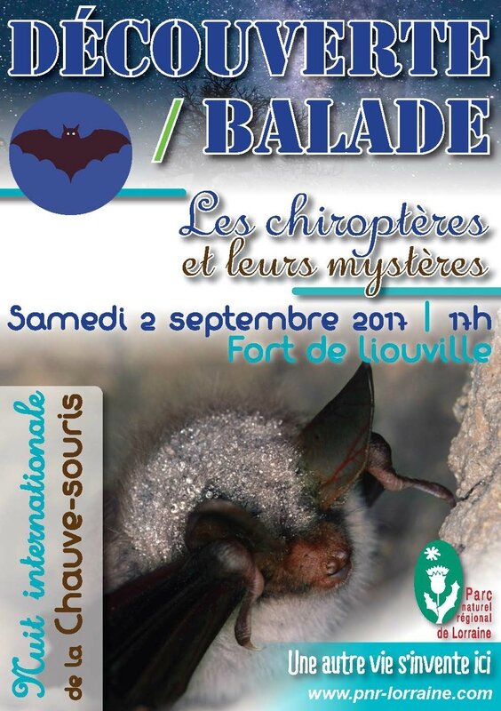 Flyer Nuit internationnale chauve-souris 20173_Page_1