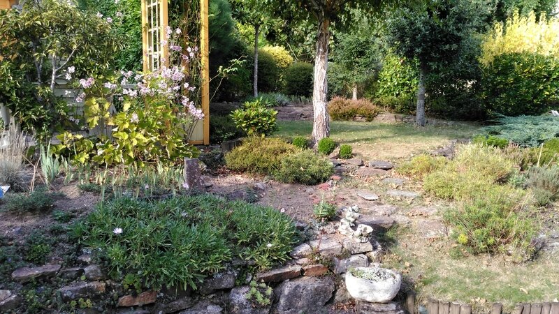 16 09 22 Jardin 17h25
