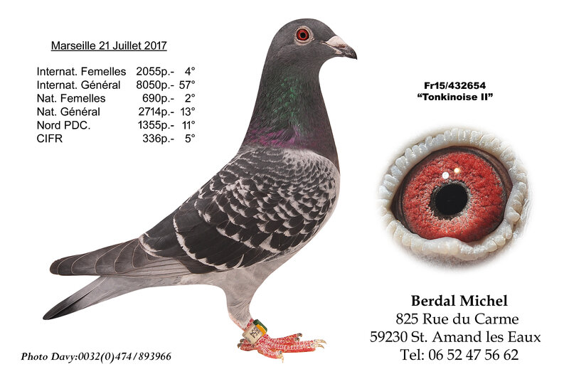 Berdal Michel Tokinoise II - Copie