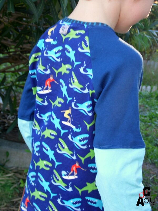 tiche requins dos