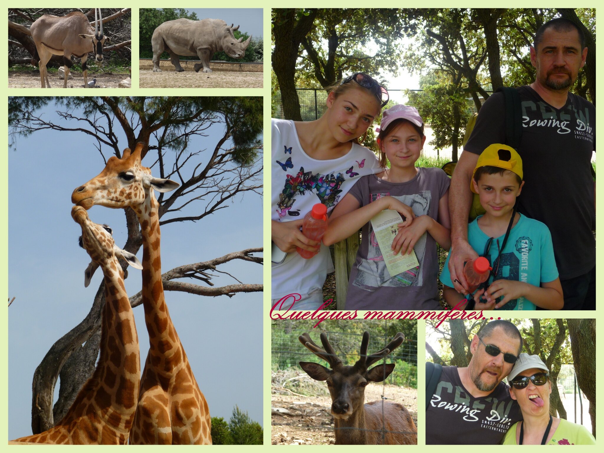 les rencontres de la div