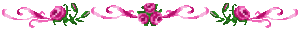 ligneFL04