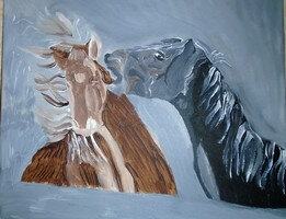 redim chevaux