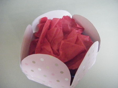 DSCF2645