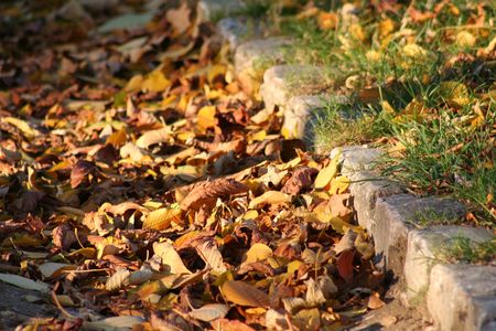 9_novembre_2007_690