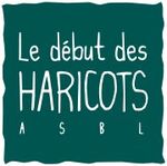 logo_ddh