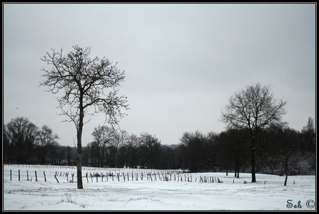 IMG_4148_border