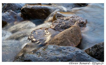 IMG_7037 copie