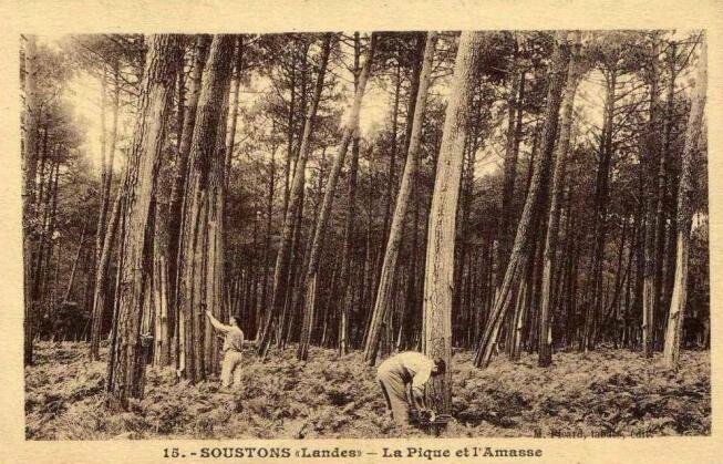la-pique-et-lamasse-carte-postale-ancienne