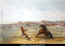 capture d'un cheval par un chasseur osage