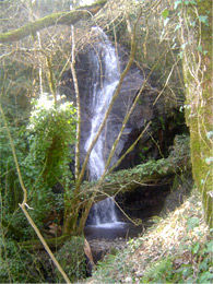 cascade